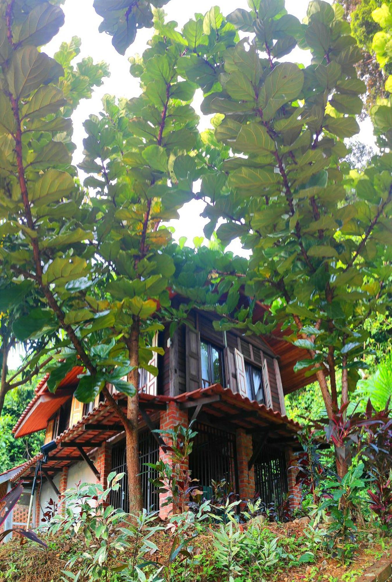 Bed and Breakfast S'Ekar Pinang Langkawi Pantai Cenang  Esterno foto