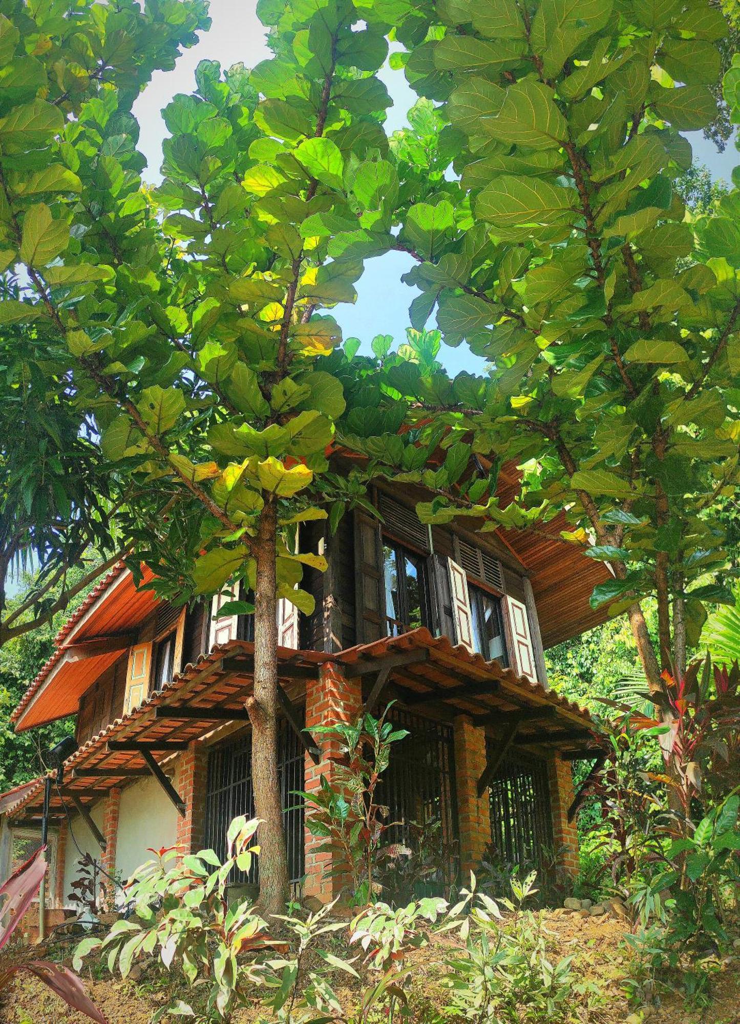 Bed and Breakfast S'Ekar Pinang Langkawi Pantai Cenang  Esterno foto